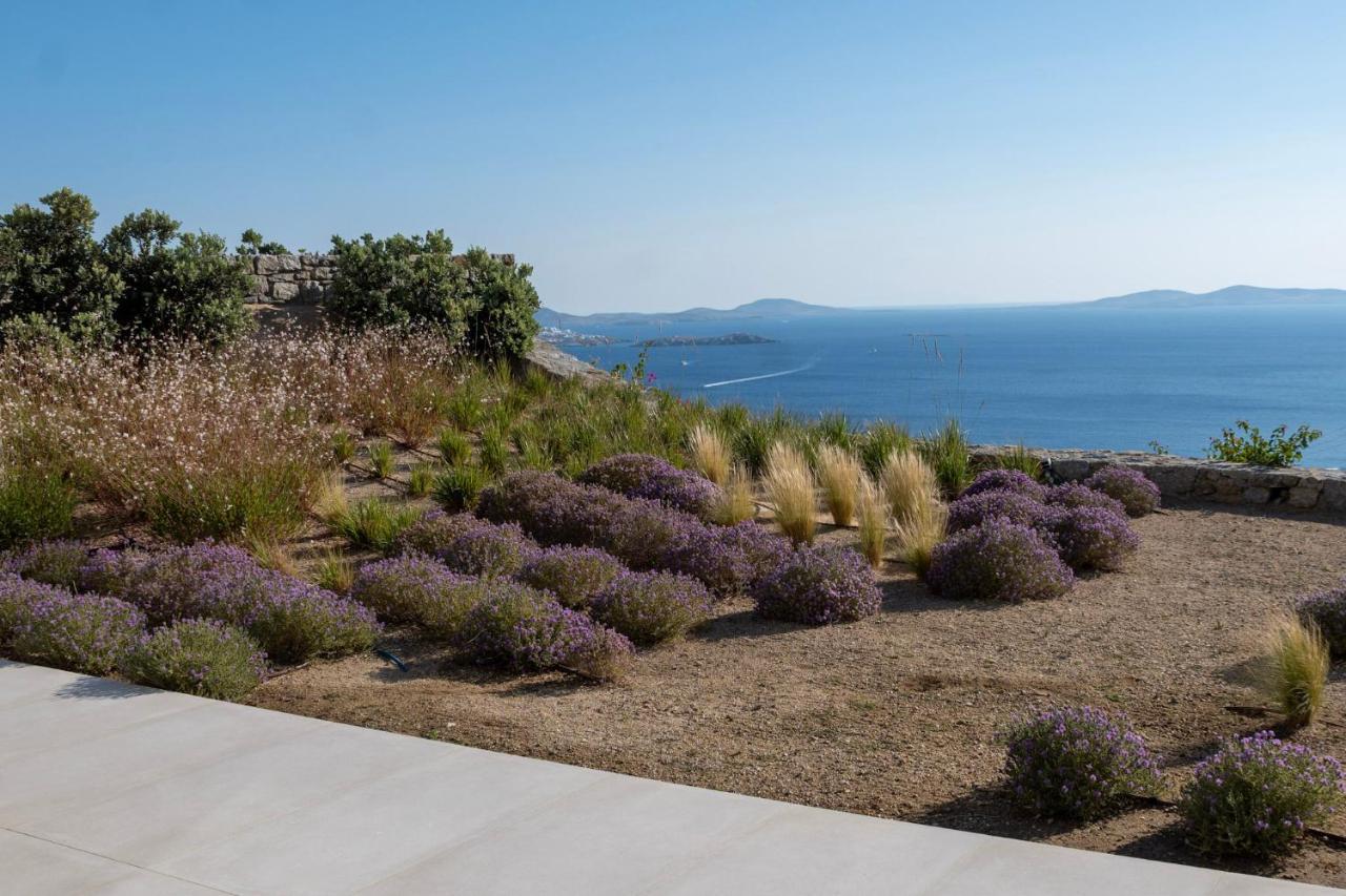 Zelia B&B & Villa Mykonos Town Dış mekan fotoğraf